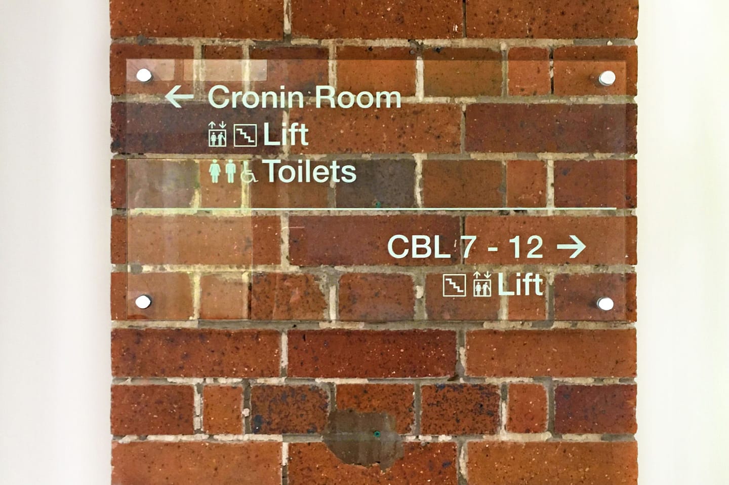 Mater Whitty Signage