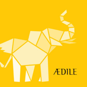 Aedile Asset Management