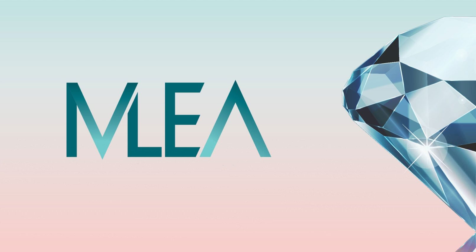 MLEA Branding
